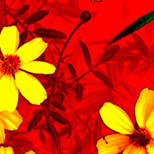 自助下单方便的网页攻击器教程