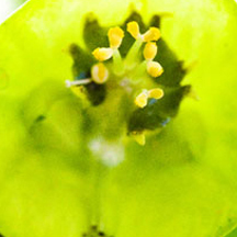 安全交易保障的DDOS在线攻击